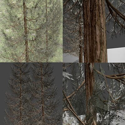 Set of Realistic Fir Trees