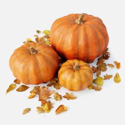 Set of Pumpkins With Leaves