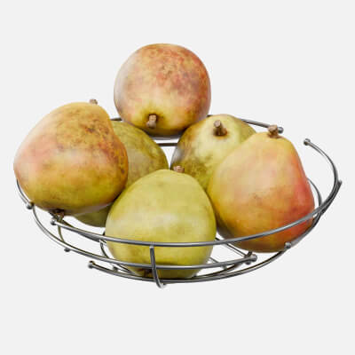 Pears in a Metal Wire Vase