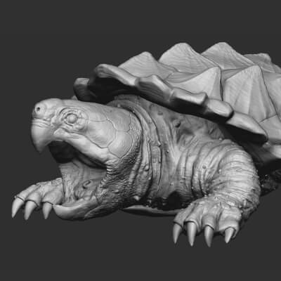 Alligator Snapping Turtle 3D Print