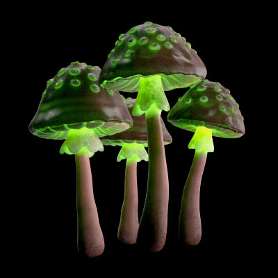 Magic Glow Mushrooms