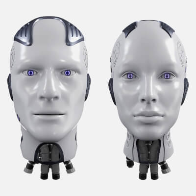 Male and Female Robot Heads