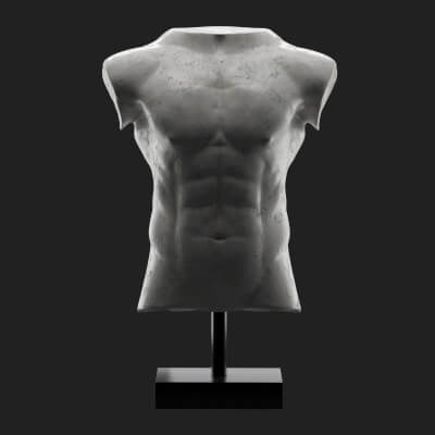 Marble Male Torso