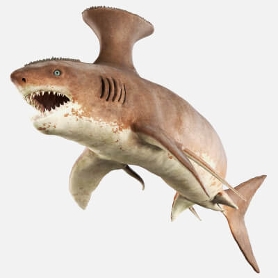Stethacanthus - Prehistoric Shark by CGZen