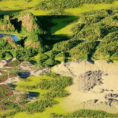 Four Biomes