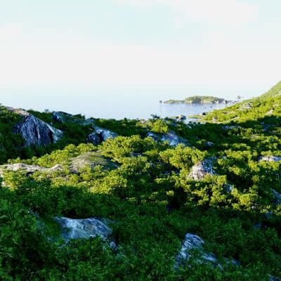 Habitable Island