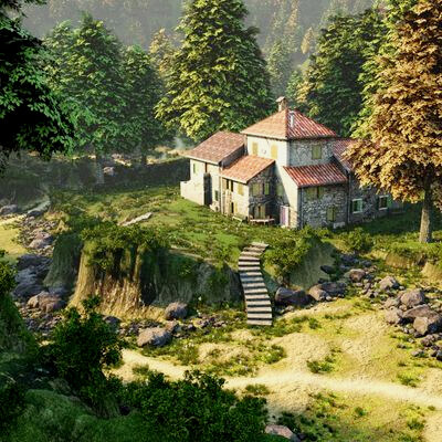 The House in The Woods