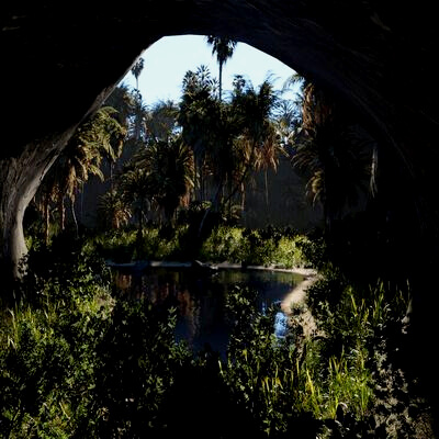 The Secret Oasis