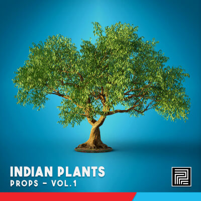 Indian Plants Vol. 1