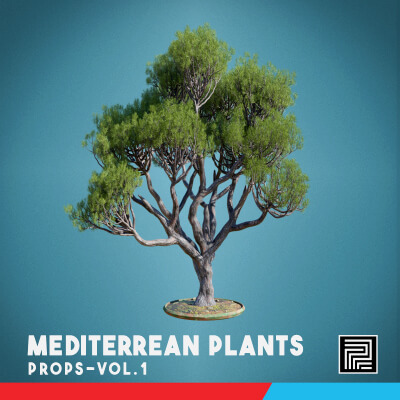 Mediterranean Plants Vol 1