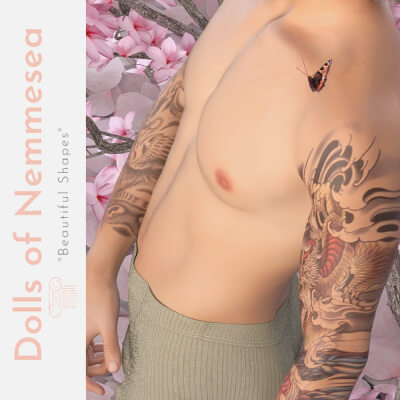 DNM - Asian Tattoo 01 Arms Pack G9
