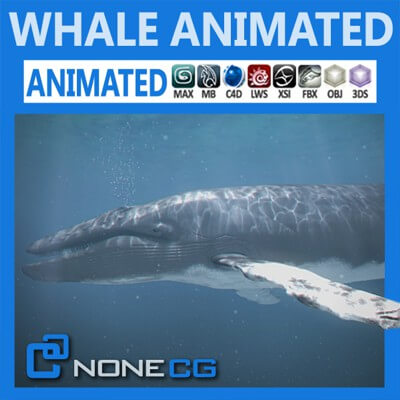 Animated Whale