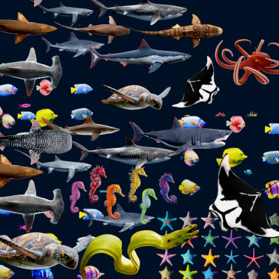 Ocean Creatures Mega Pack