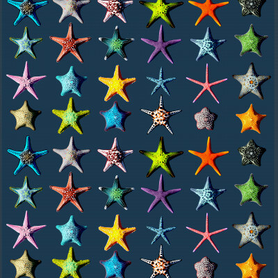Starfish Pack