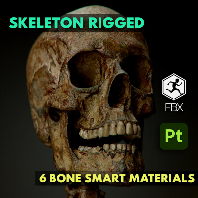 Rigged Skeleton Bone Smart Materials
